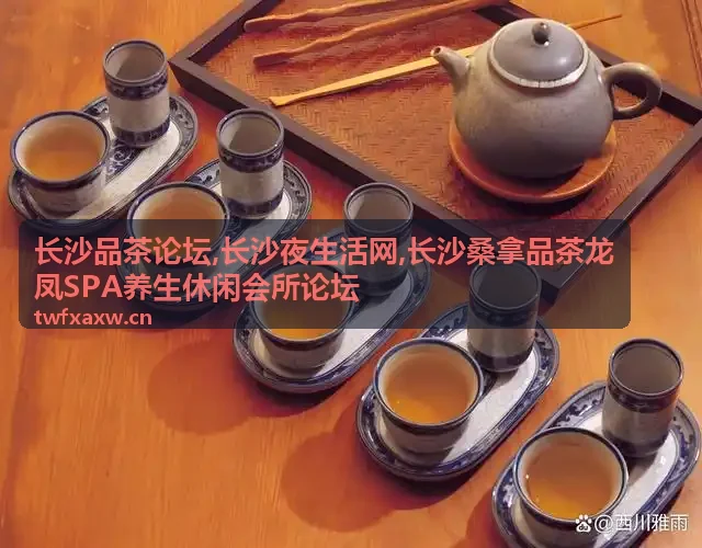 会员头像老茶客