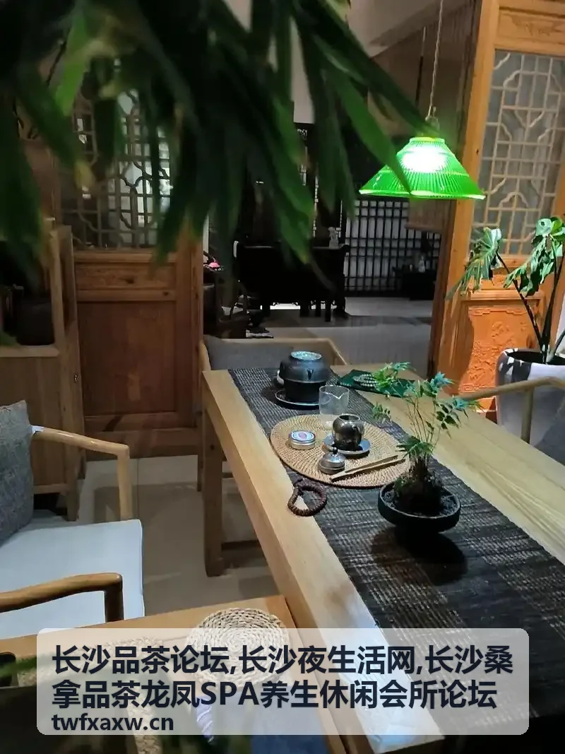 会员头像养生达人